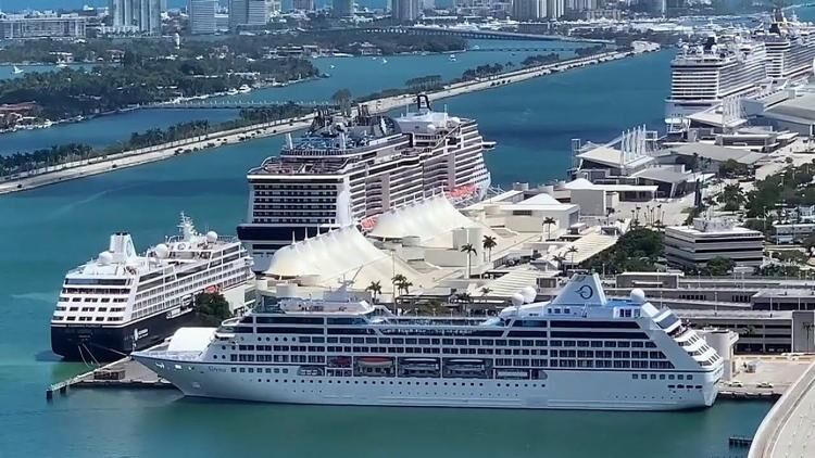 Cruceros
